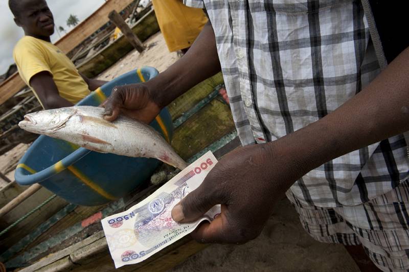 Man holding a fish and cash money