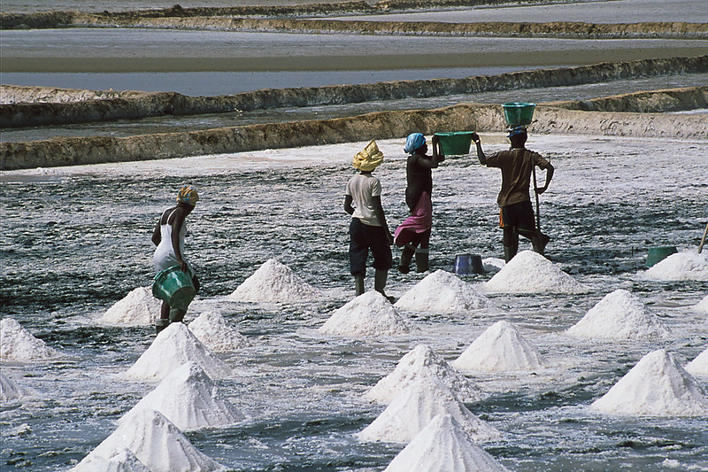 Salt extraction in Senegal