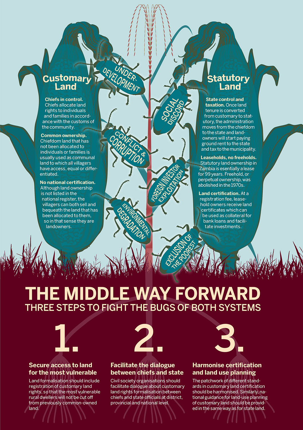 Infographic illustration of the middle way forward in customary land rights formalisation