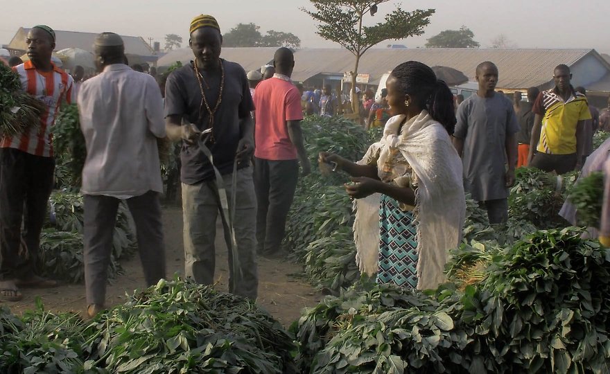 Intra-African trade key for long-term food security