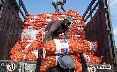 Boubacar Tebely (top) and Yaya Banou (center) unload sacks of onions in a farmers market in Bamako, Mali. Photo: Dominic Chavez/World Bank